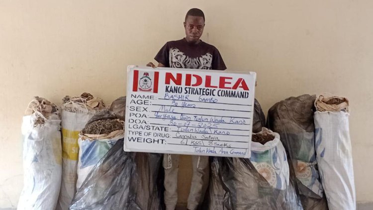 NDLEA arrests dispatch riders distributing illicit drugs in Abuja; recovers opioids in footwears at Maiduguri airport 4 NDLEA