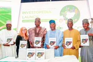 NGF launches Investopedia platform to attract investors, address $100bn infrastructure gap
