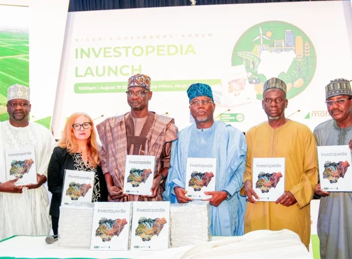 NGF launches Investopedia platform to attract investors, address $100bn infrastructure gap