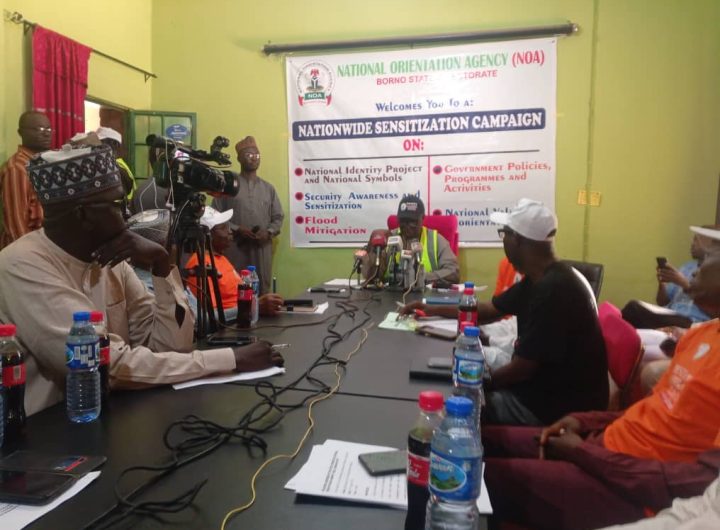 NOA flags of campaign in Borno