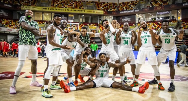 Nigerian men basketball team, D'tigers