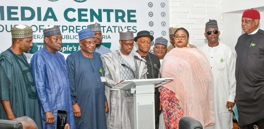 Reps probe N1.06 trillion NG-CARES programme amid claims of misused funds