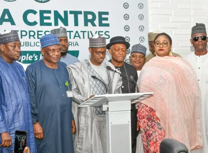 Reps probe N1.06 trillion NG-CARES programme amid claims of misused funds