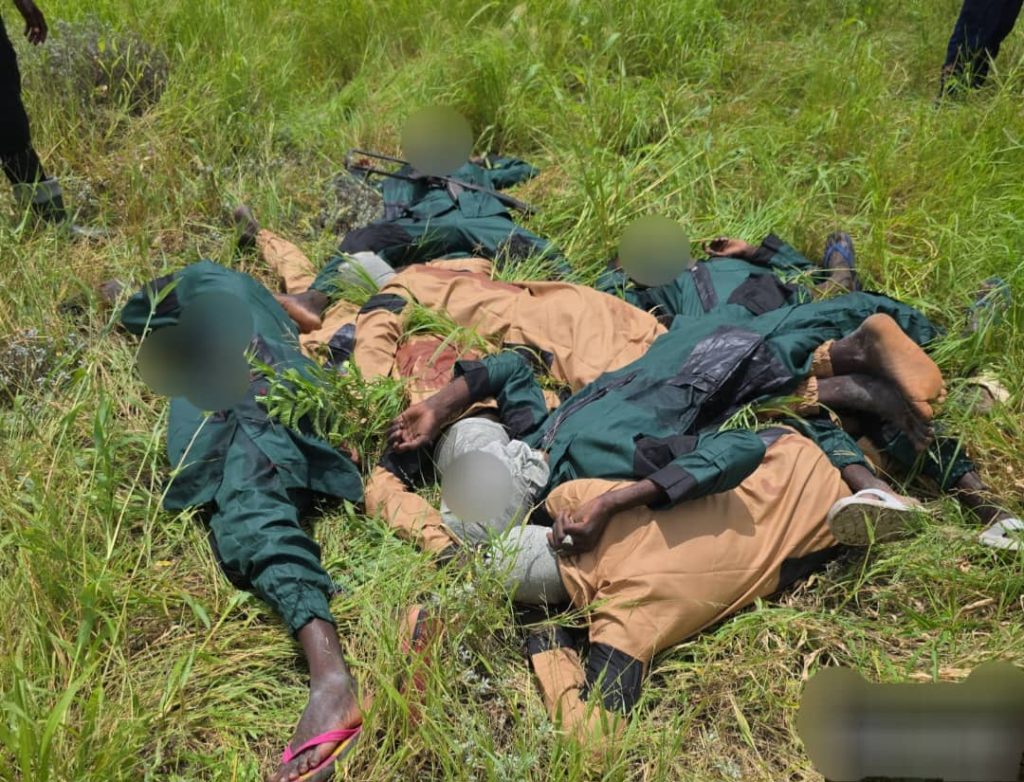 Troops eliminate scores of terrorists