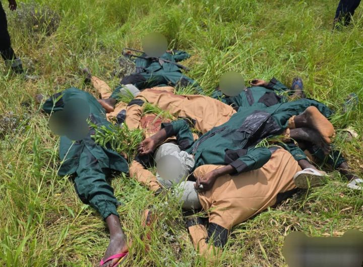 Troops eliminate scores of terrorists
