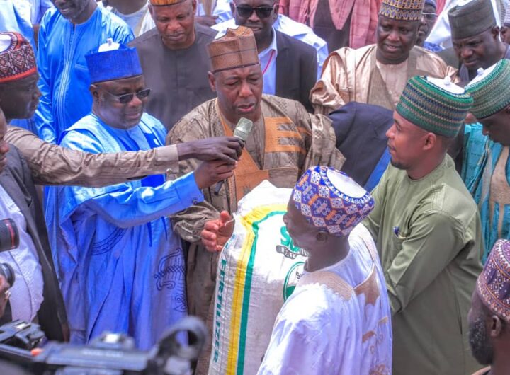 Borno State Governor Babagana Zulum