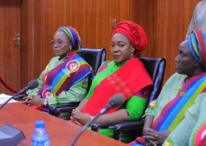 DEPOWA President to unveil 'Thank You to Our Troops' campaign in Borno