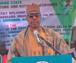 Borno State Governor Babagana Zulum