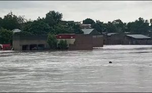 Flood hits Nigeria