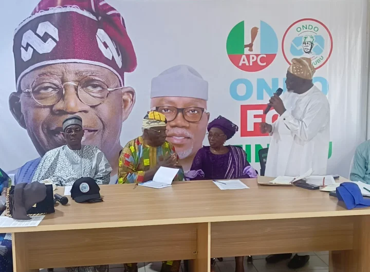 APC rally for Tinubu's reelection