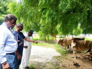 Zulum’s passion for livestock sector leads to strategic partnerships says D.G BOLMA