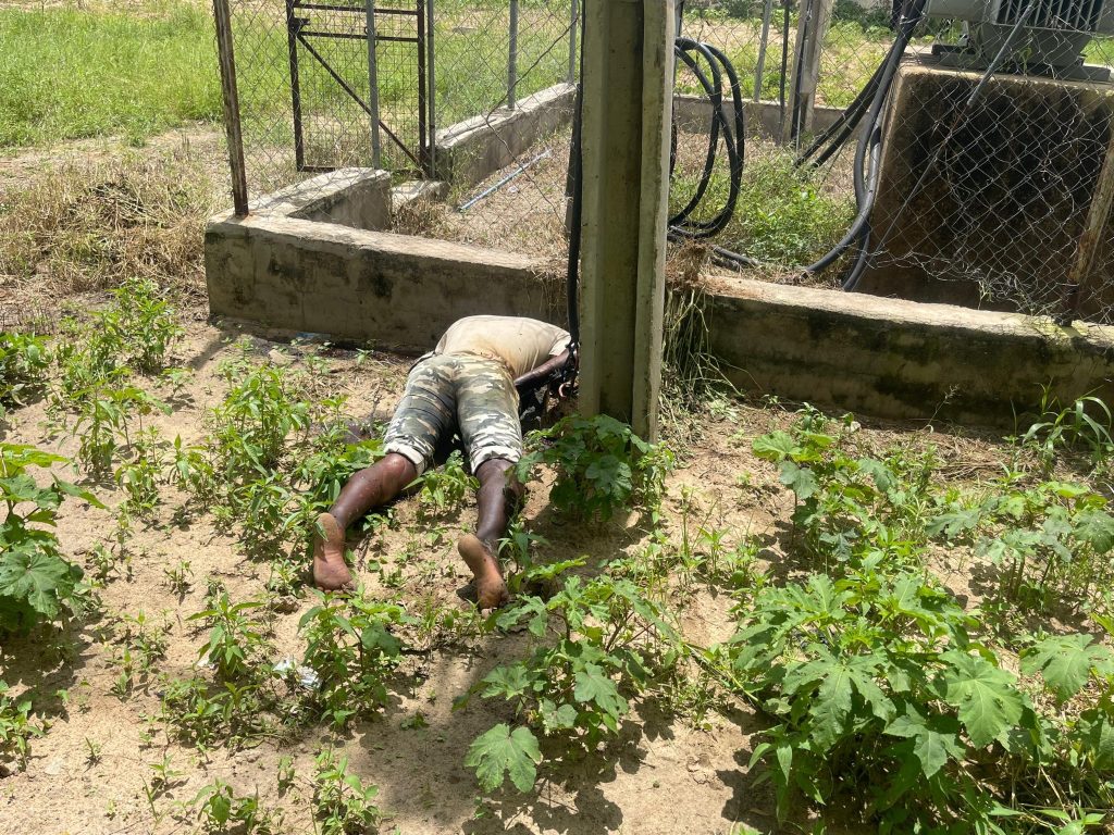 Borno Police recover body of transformer vandal