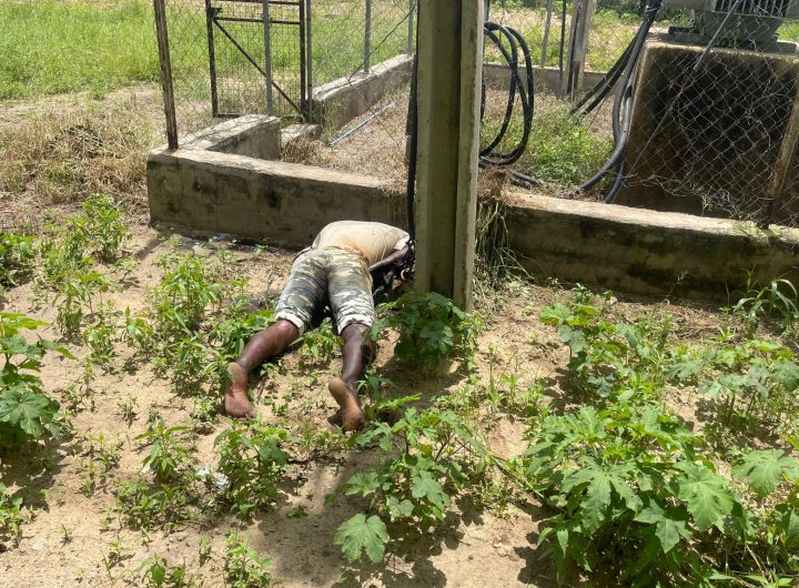 Borno Police recover body of transformer vandal
