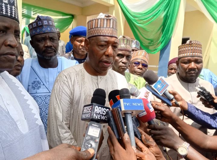 Borno State Governor Babagana Zulum