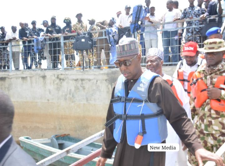 Borno State Governor Babagana Zulum