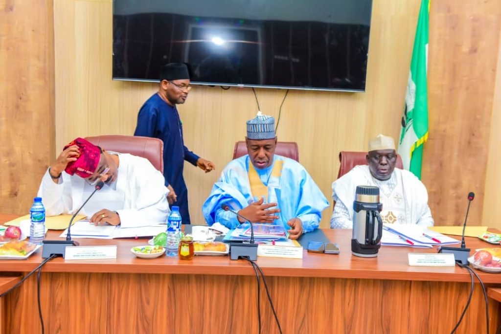 Borno State Governor Babagana Zulum chairman NNDC