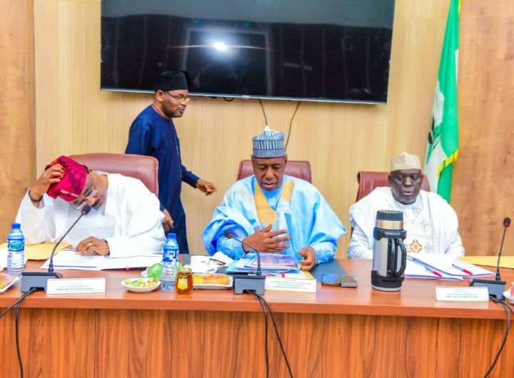 Borno State Governor Babagana Zulum chairman NNDC