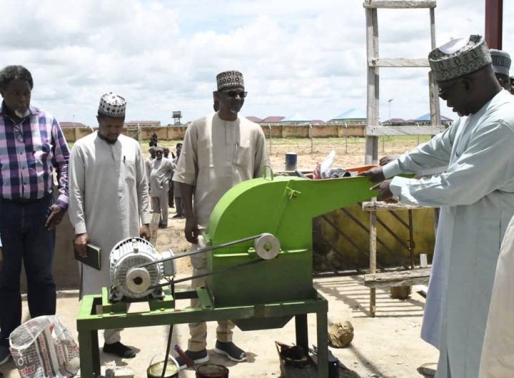 Zulum’s passion for livestock sector leads to strategic partnerships says D.G BOLMA