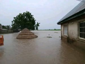 Flood hits Taraba