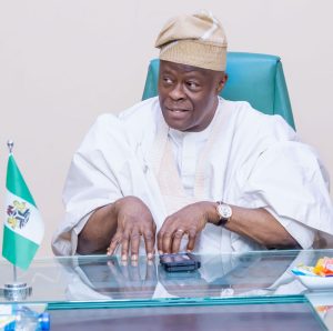 Minister Finance Wale Edun 1