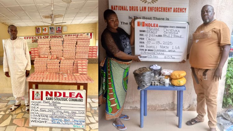 NDLEA nabs Indian businessman, 3 Nigerians in N3.9bn tramadol bust at Lagos airport 3 NDLEA nabs Indian businessman, 3 Nigerians in N3.9bn tramadol bust at Lagos airport