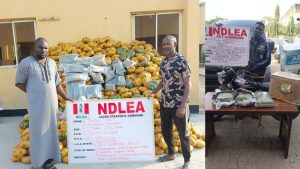 NDLEA mab drug suspect
