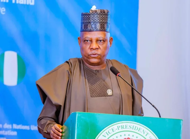 VP Kashim Shettima