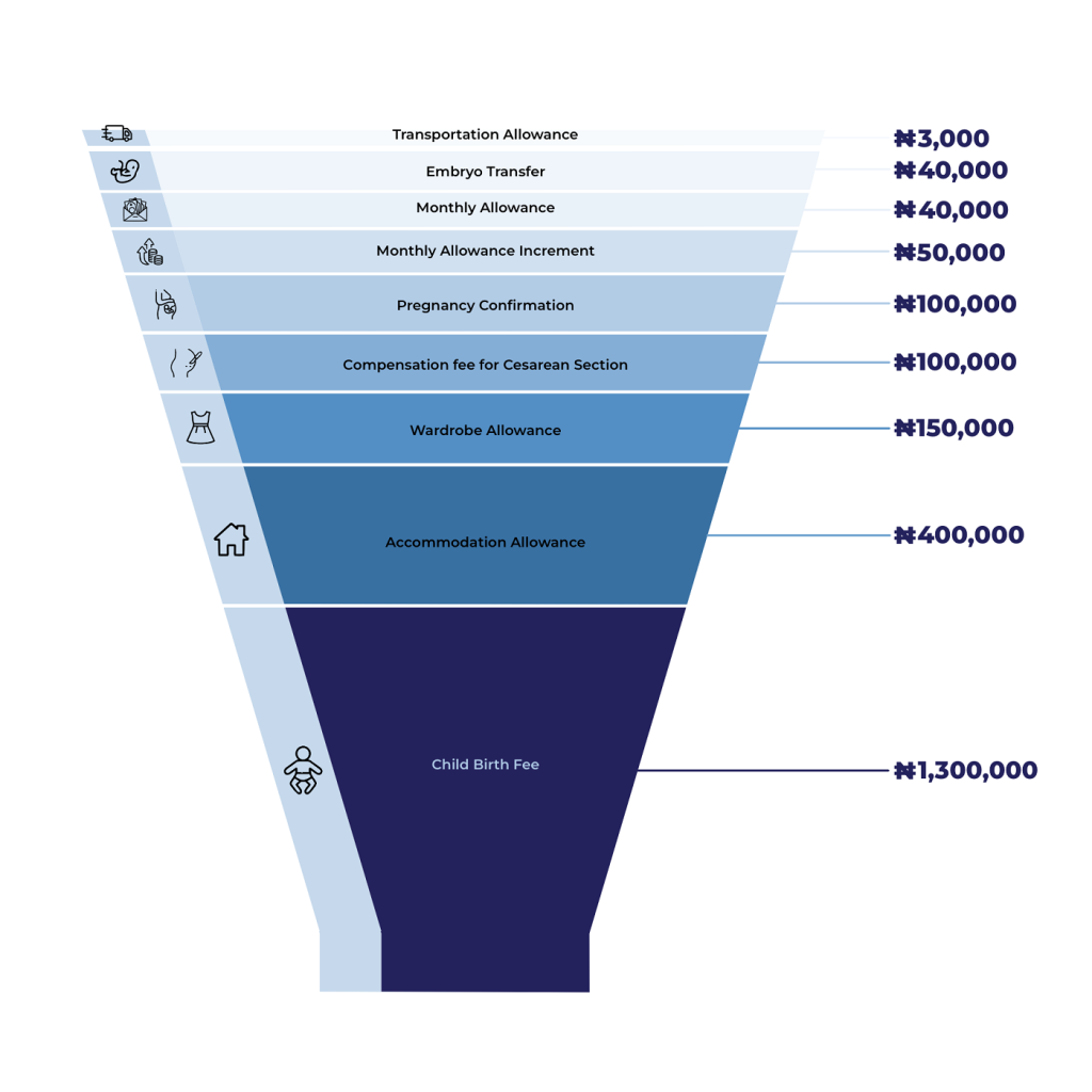 How Facebook, misinformation, legal loopholes throw Nigerian women into surrogacy ditch 2 Picture 2 An infographic representing a breakdown of Temitopes payment plan
