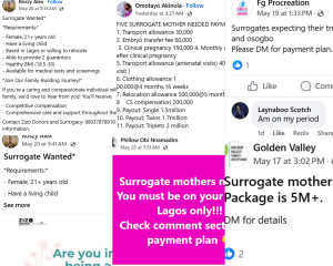 Picture 6 A collage of surrogate adverts in the group