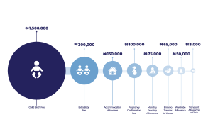 Picture 9 An infographic representation of the breakdown of the N2243000 payment plan