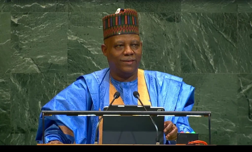VP Kashim Shettima