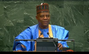 VP Kashim Shettima