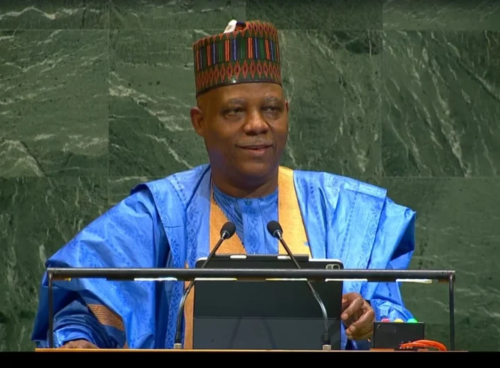 VP Kashim Shettima