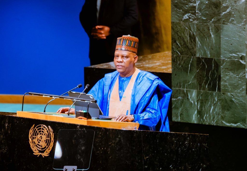 VP Kashim Shettima