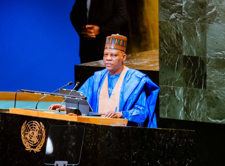 VP Kashim Shettima