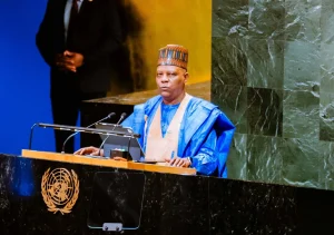 VP Kashim Shettima
