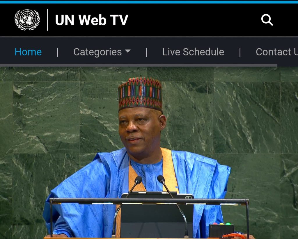VP Kashim Shettima