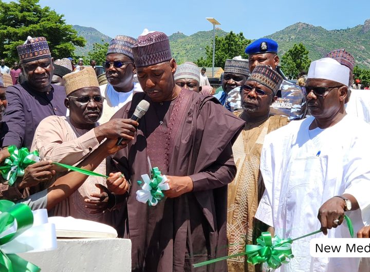 Borno State Governor, Babagana Zulum