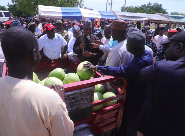 Zulum gifted farm produce in baga