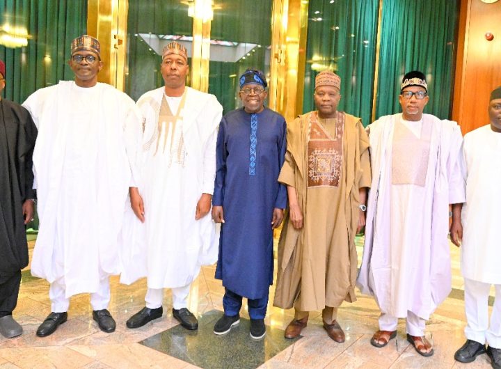 Zulum leads North East governors to Tinubu, requests completion of 17 roads, oil exploration