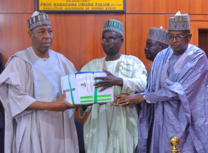 Borno State Governor, Babagana Zulum