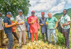 kogi govt partners investors