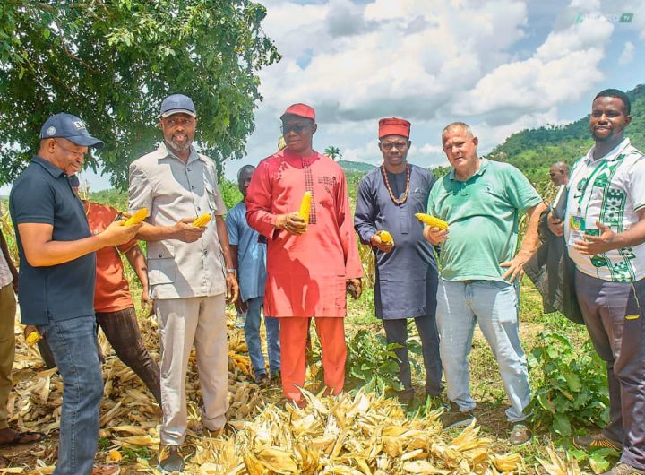 kogi govt partners investors