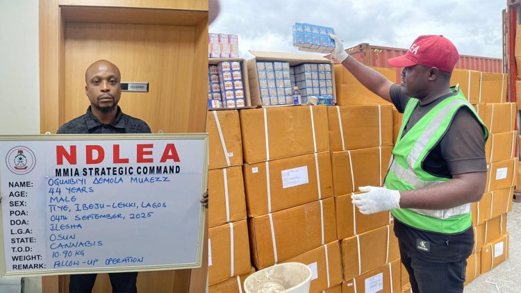 ndlea intercepts tramadol