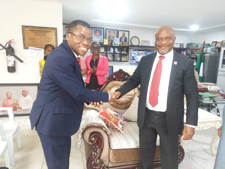 Newly qualified ICAN members urged to uphold professional excellence