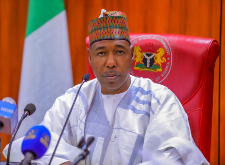 Borno State Governor Babagana Zulum