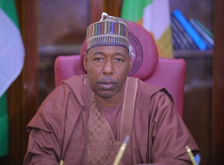 Borno State Governor, Babagana Zulum
