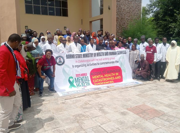 Borno stakeholders on mental health