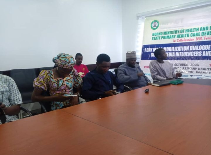 Borno trains stakeholders ahead of statewide Measles-Rubella immunization campaign
