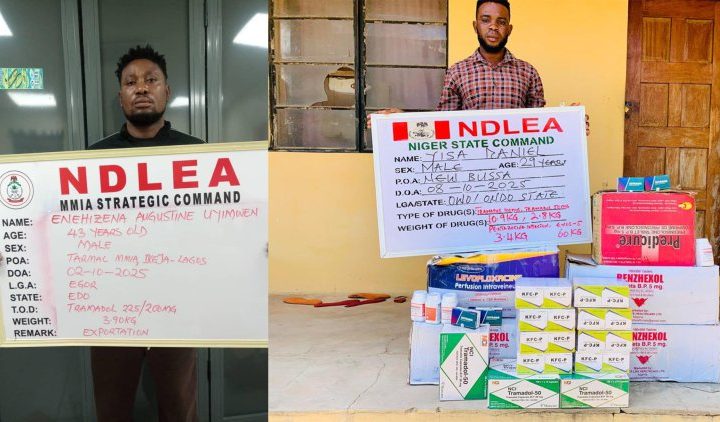 NDLEA